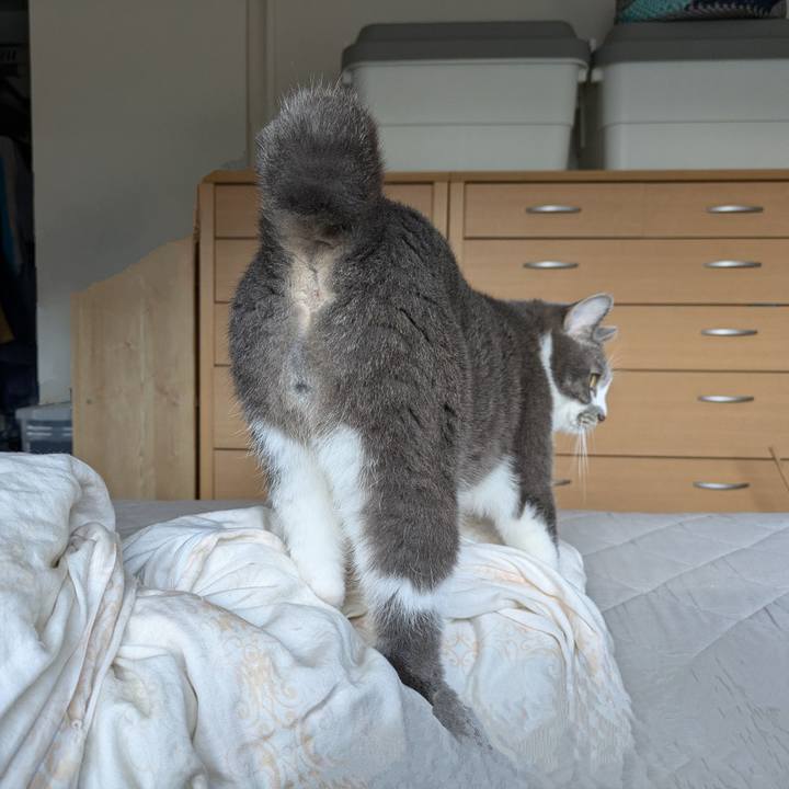 745b0770 6b55 4f1d 95f5 2221f60c449e 1725663782559