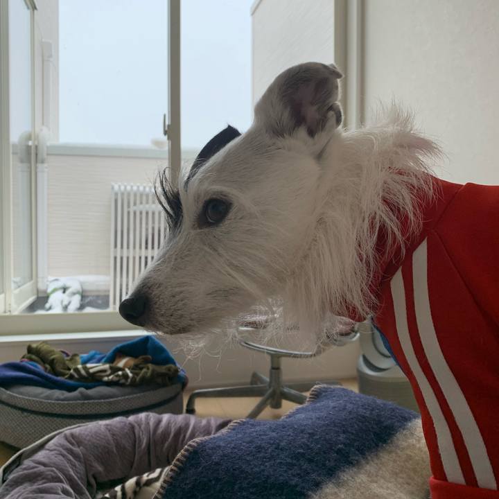 745b57e7 007b 4aeb 9c53 db46d131c5a7 1641447098356