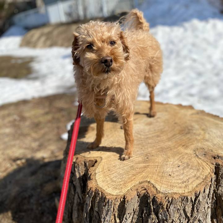 745b938b a1dc 488b babb 543447a874a9 1648963432141