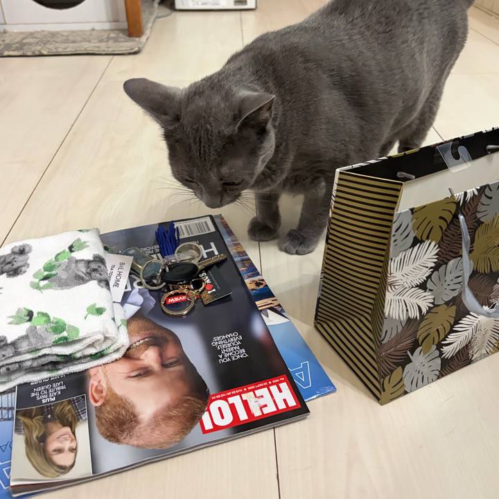 745b9d87 fdde 4267 8b03 449b50d17075 1760746429632