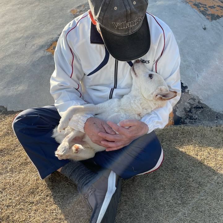 745bb046 43f0 4f06 bc40 6690cae8de2a 1677051454709