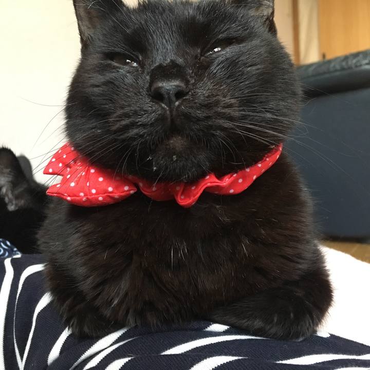 745bbf29 5461 4986 bf92 a528032230d9 1552829255798