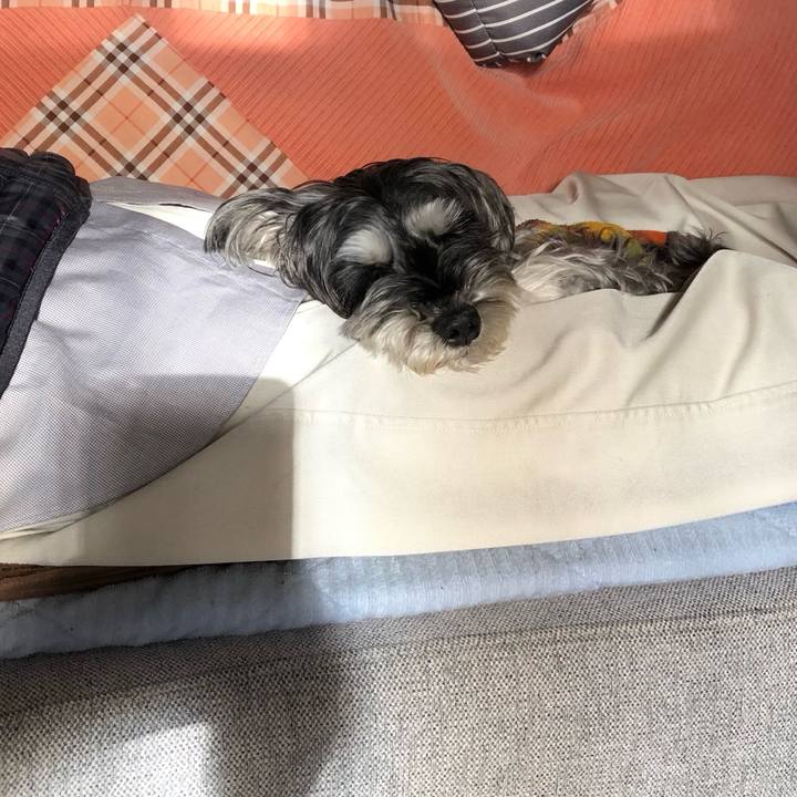 745bc48e 0e08 406e bd68 899e073e4d06 1700717923634