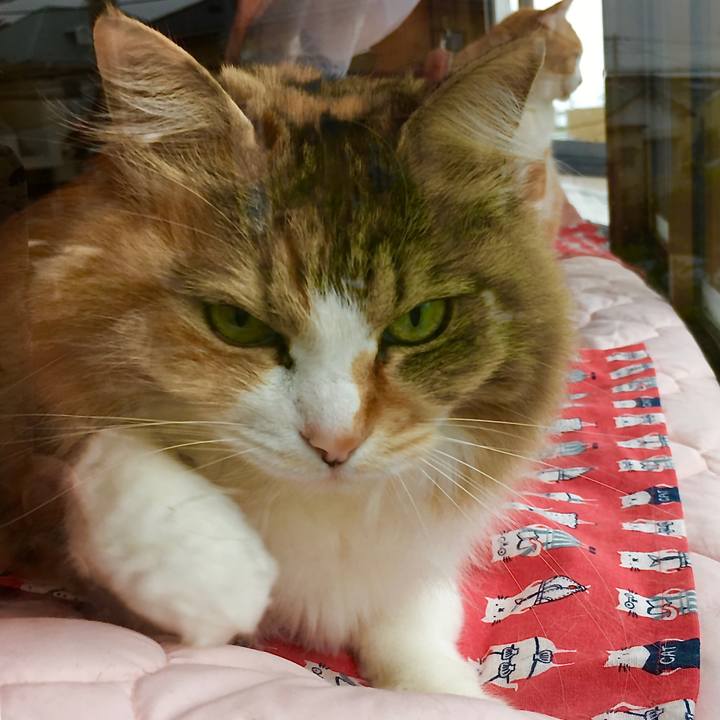 745be68a 8198 44c1 a13f 6237c6c3d639 1591771580851