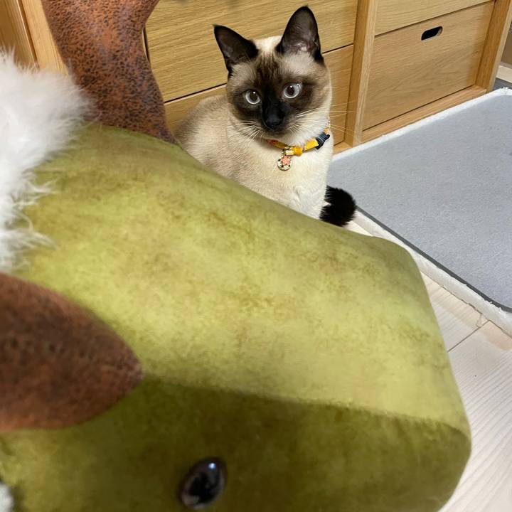 745c49c3 263b 4031 990a 5f4f44a62d15 1726170908230