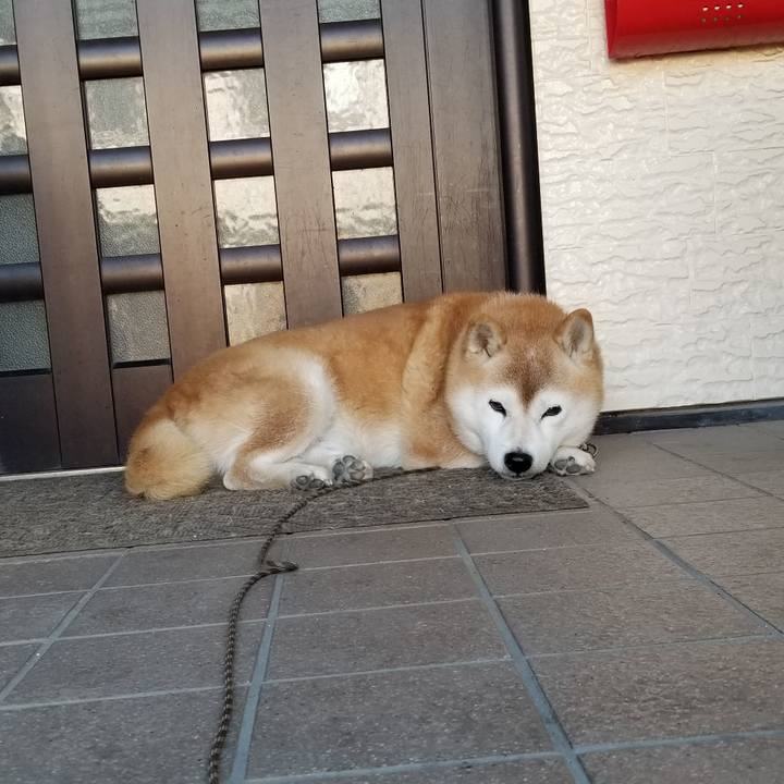 745c4de0 15d1 4727 b6c1 c8e1518a4284 1698276730663