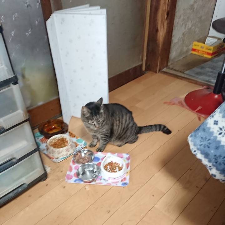 745c7da1 4c08 4a3a a89c 76e75559e110 1650889481747