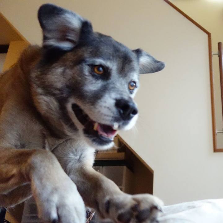 745c93c2 5ed4 424b 9cc5 1588a9b595af 1518314165264