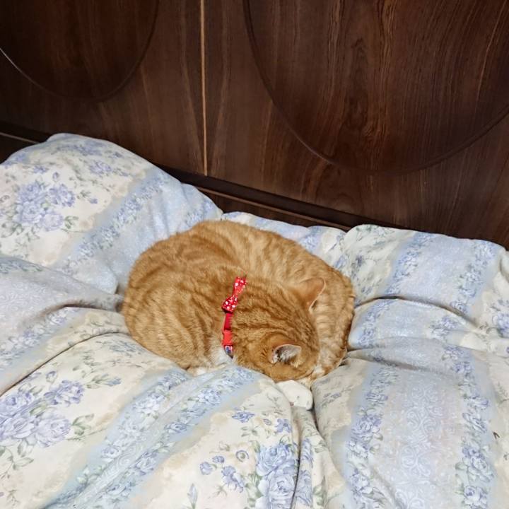 745ca74b e93d 4e3f a116 4a3485aec91f 1578914197216