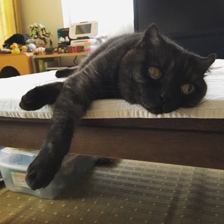 745caf6a 0514 429b 8bb0 25c0b34a6f3f 1530585476025