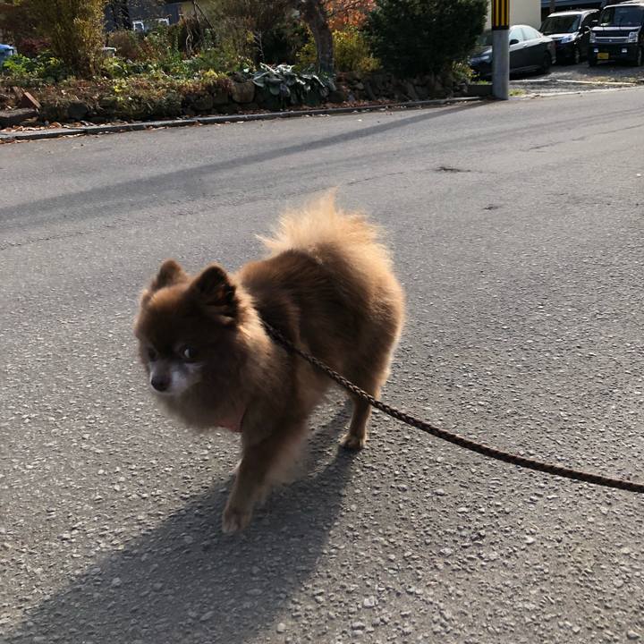 745cba5f 25a6 4936 a616 247b7ac20288 1574835742731