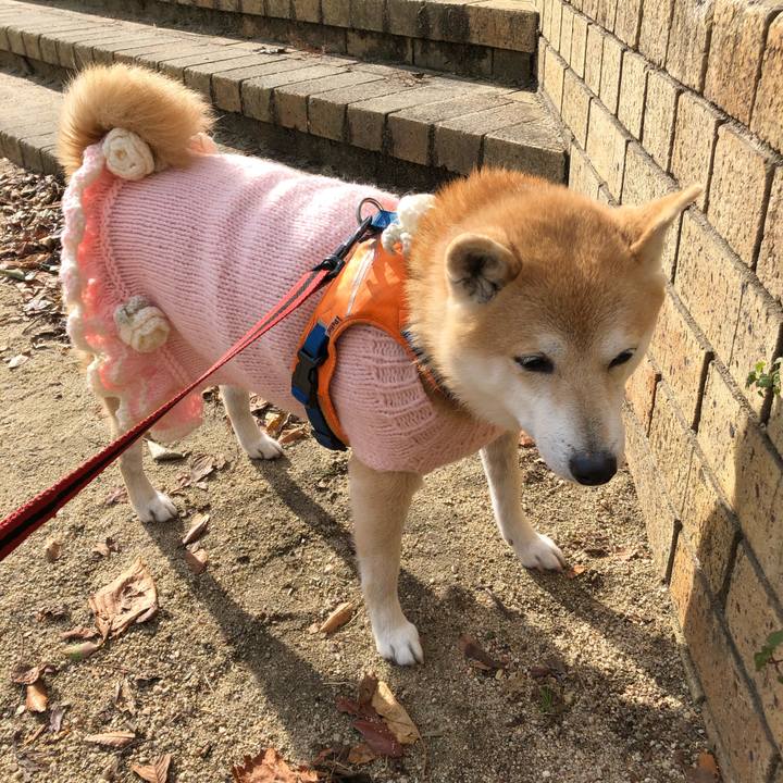 745d6360 f265 41be b8e4 aaeeb32a69fa 1579094473015