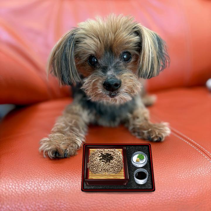 745d6749 167c 49ef 84f4 0d8dd541ba96 1767150864730