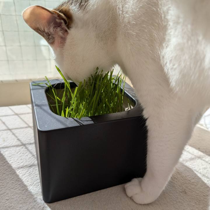 745d7988 f743 40d2 9e34 e60e28b09632 1731479743943