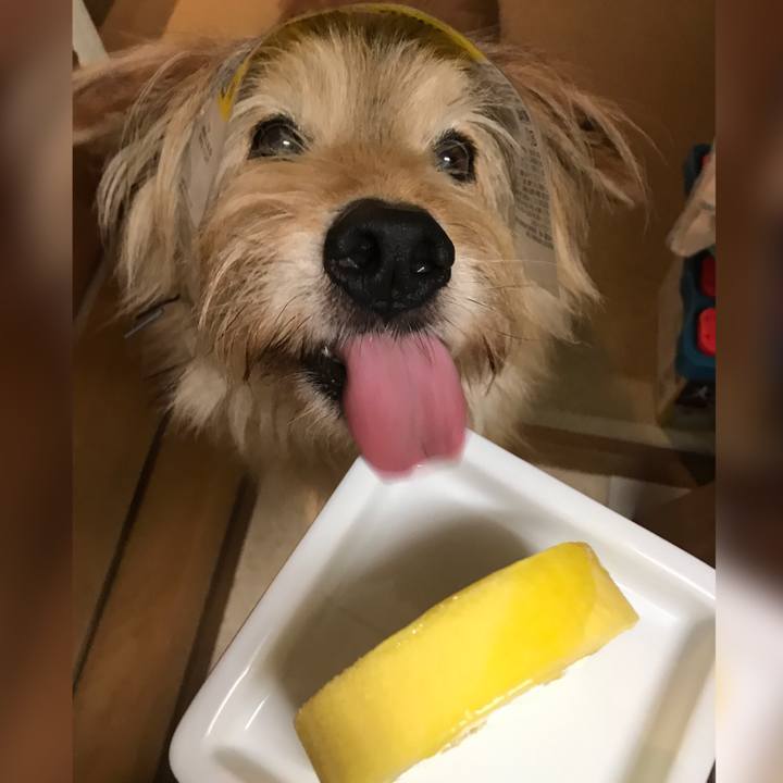 745d89b4 6653 4168 a976 a946cbfc88c2 1622989658448