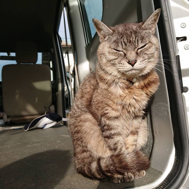 745d9054 62e3 438a b26c 1e68a459472e 1569018698690