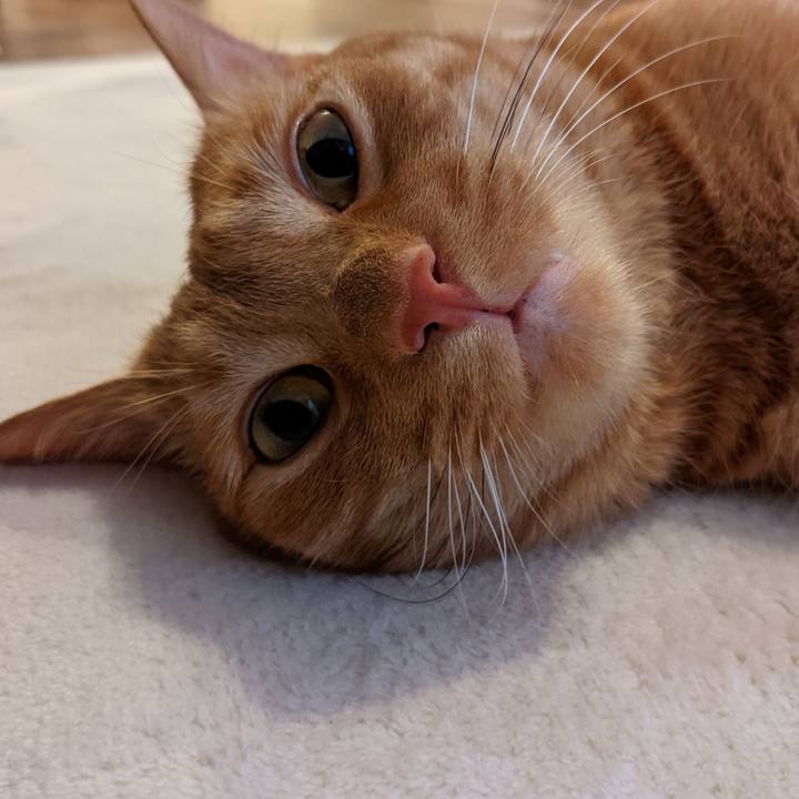 745d9de0 0437 4c3c a01f a7f38200eb9a 1624093983365