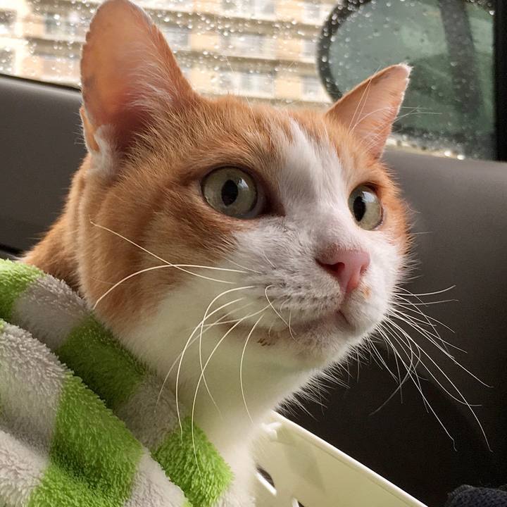 745dbf1c 8dbc 4018 8a59 aac78a9aea3e 1571723612334