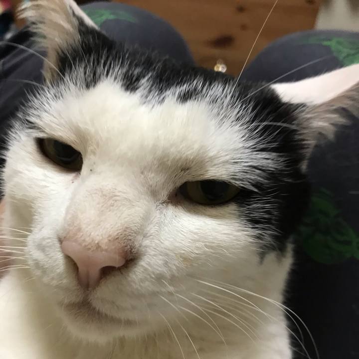 745e1336 ac9f 4f63 88bb f3e1e65f8711 1589809907596