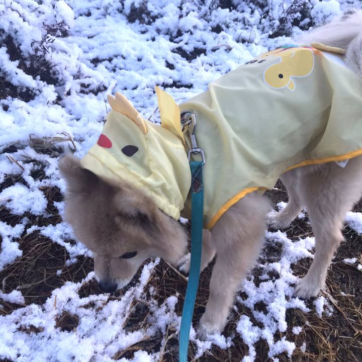 745e1e23 36da 4fd3 a198 64657c3aae2d 1609413583111