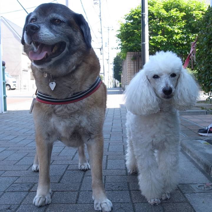 745e4390 a0a1 4b21 8cb2 2019a5e5afbd 1607472900527