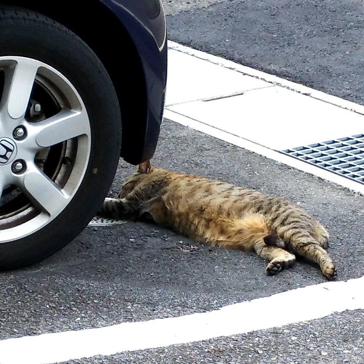 745e4493 42e3 4a2b ad80 b521cd57c336 1557982459677