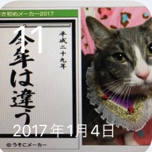 745e6792 8fc1 48b6 90d6 4dfdee2c820d 1641827403797