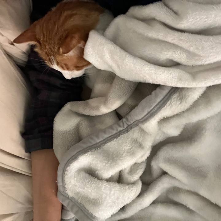 745e6da5 3325 4f09 8f42 e72cd9aa73c8 1763080974292