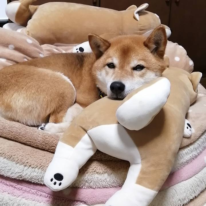 745e7a52 4a2b 4002 bf6d 4b5b61cc22ff 1620803530100