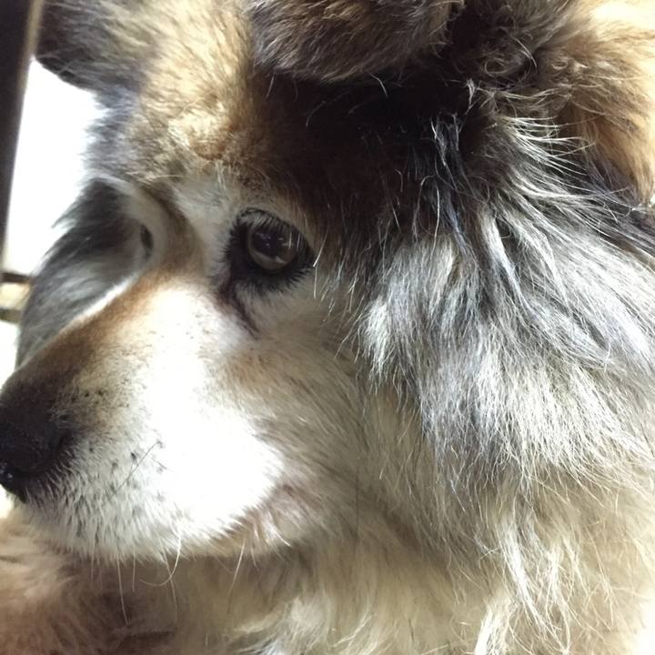 745e8afd 5903 4781 8d86 bfb57e2cd25b 1648875150106