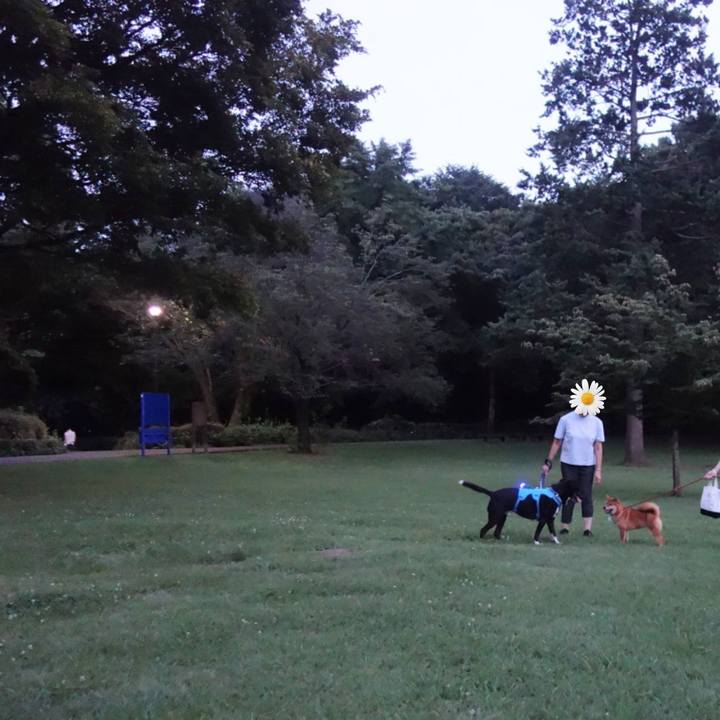 745ebbcb c09b 446b 97af 6c5416a32ff6 1688985998847