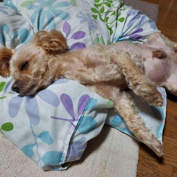 745ebccd 033a 4573 adac fedb09a22ff0 1677241549844