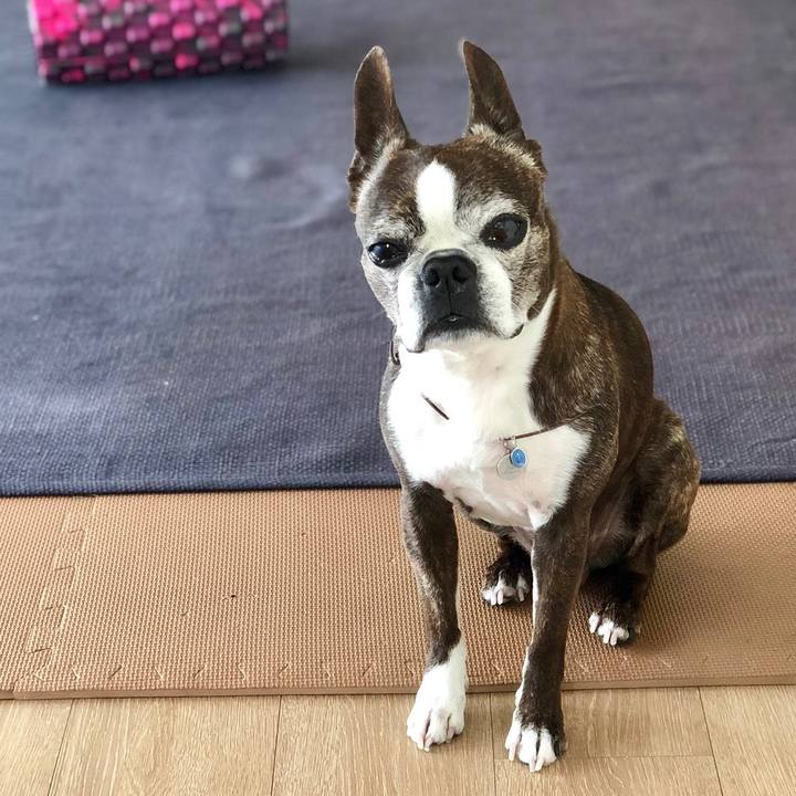 745ec318 6770 41fe a98d 25de3f1e97ce 1524291084448