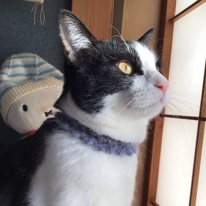 745ee5ec 2896 4c05 b6a8 4a650b657358 1642806753483