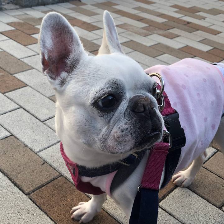 745f26b2 cde1 4f0d a531 b81eb78da48f 1613300193987