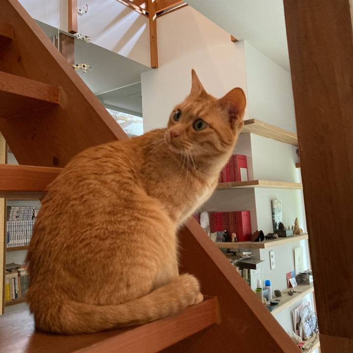 745f4381 90fd 4de0 a7a3 f8d73201ba6a 1650757238560