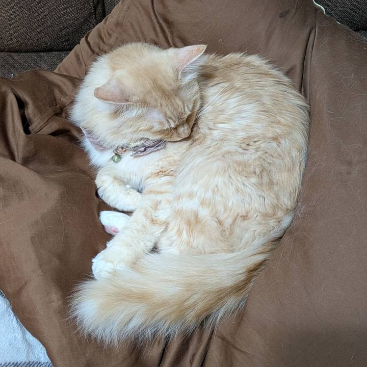 745f6b70 2e42 48a9 bf07 0c1ef824bf32 1734708362974