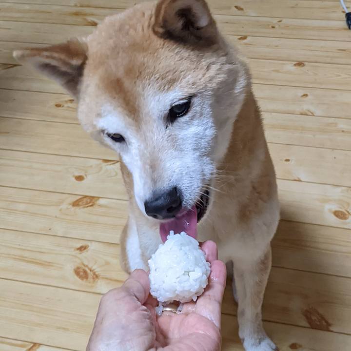 745f6e2a ef6f 45df a5f6 dd7fa74ee39f 1727089081478