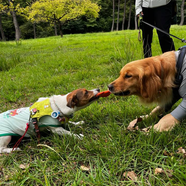 745f8f10 f304 4551 b959 e64912cc4d98 1757835972871