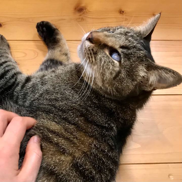 745fa366 9b14 4e54 bb10 cb387921f57c 1618731462975