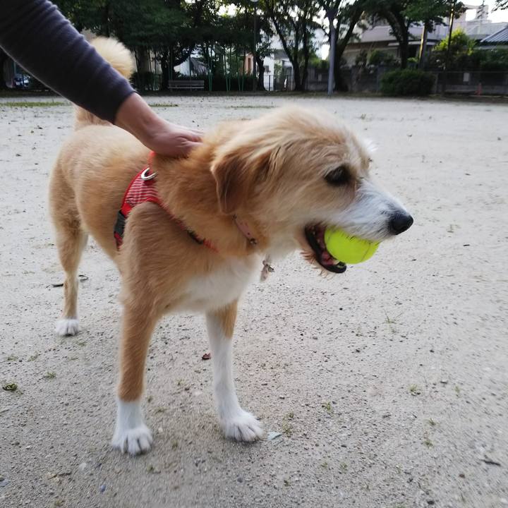 745fdd14 e20d 4858 9cc8 74f21552fc6a 1529669995957