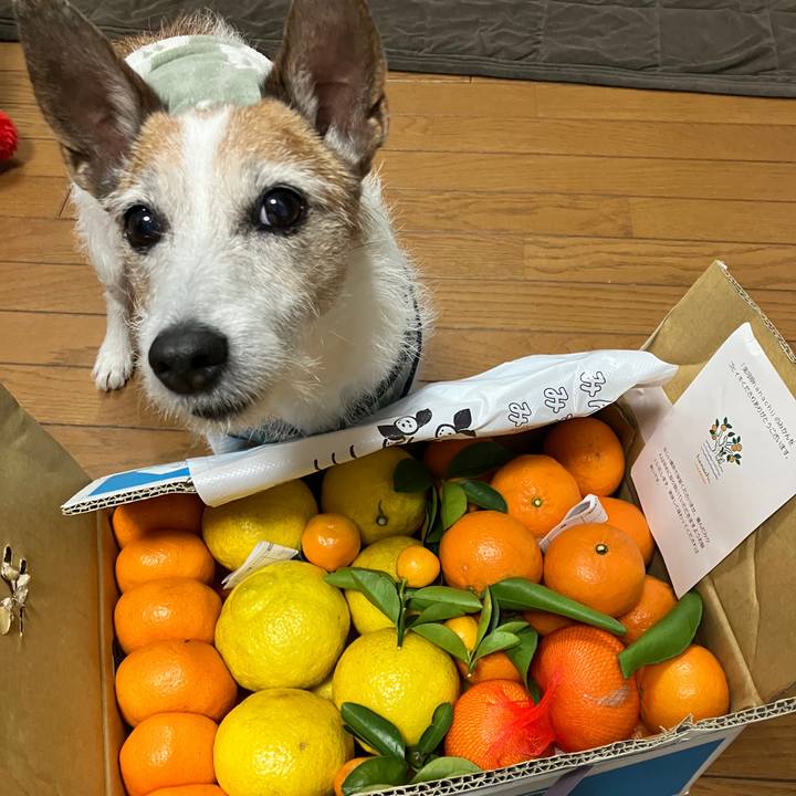 74603fd9 6a05 42db b222 4334d191366e 1707780154642