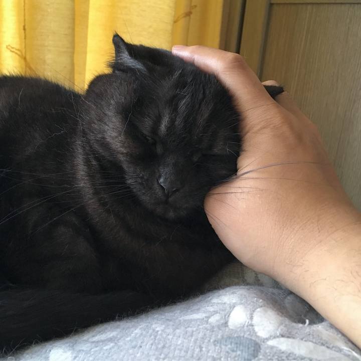 746080fa e1cc 4606 b337 81911583b73e 1520895416219