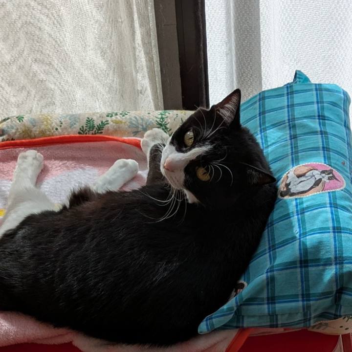 74608fb6 7bbb 4cfd bd4a 033185de1d60 1760940073738