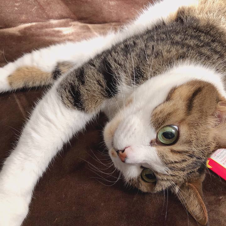 74609870 198a 4027 ad25 efd900991231 1553085267780