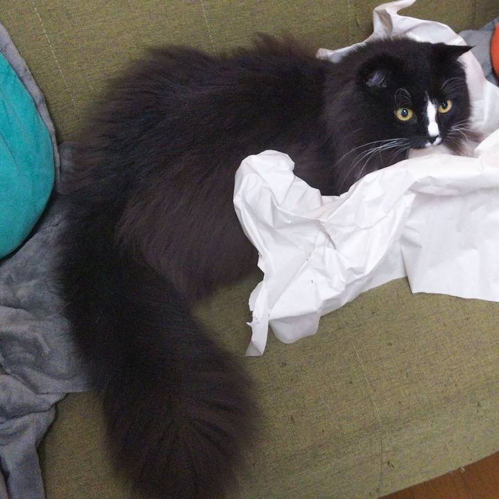 7460c14c f072 4864 a175 8332c140dc9d 1663940682447