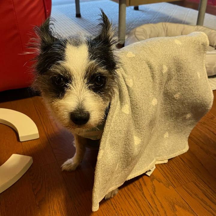 746117ff 7dfc 4af8 bfb6 7dd6deed6ab0 1729247959255