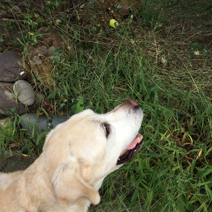 74615bee fc60 4994 a9d1 ee6c2dbc6e07 1537232635965