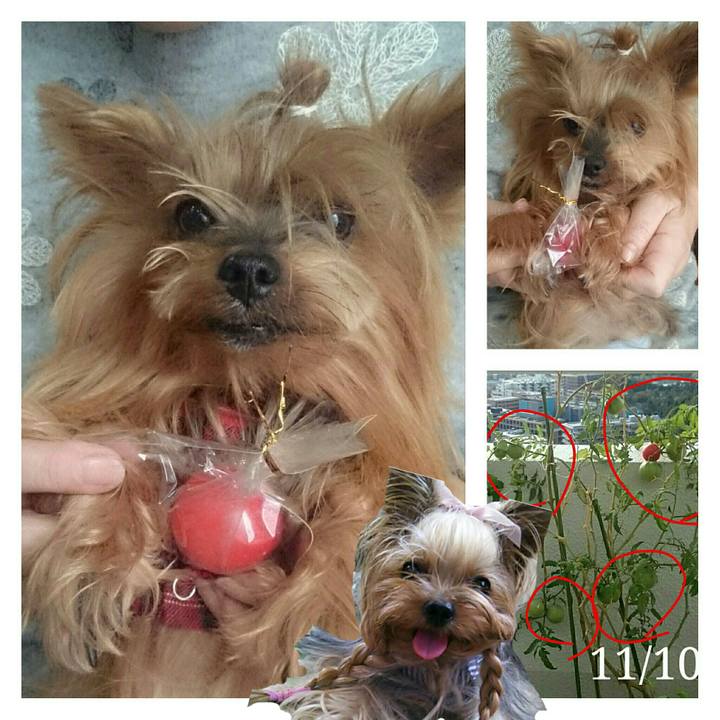 74616c65 0343 4c02 900f 56d19c262414 1542285136135