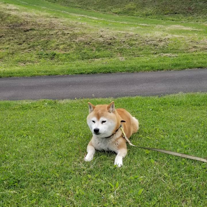 74617705 c427 48f5 a504 088caedbe147 1653638978885